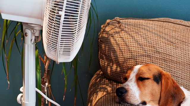 Quelles solutions pour apporter de l&rsquo;air frais à une maison ?